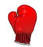 boxing glove