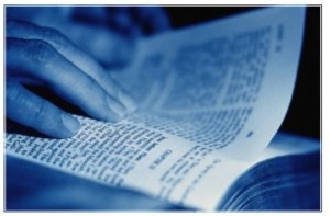Bible reading