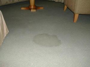 stain-on-carpet