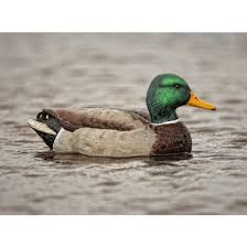 duck decoy
