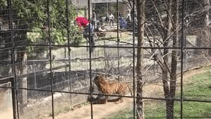 That's her. Must have been a nice hat.